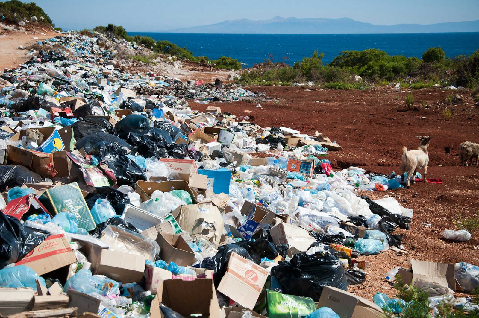 qu’est-ce qu’un polluant éternel ? comprendre les impacts environnementaux