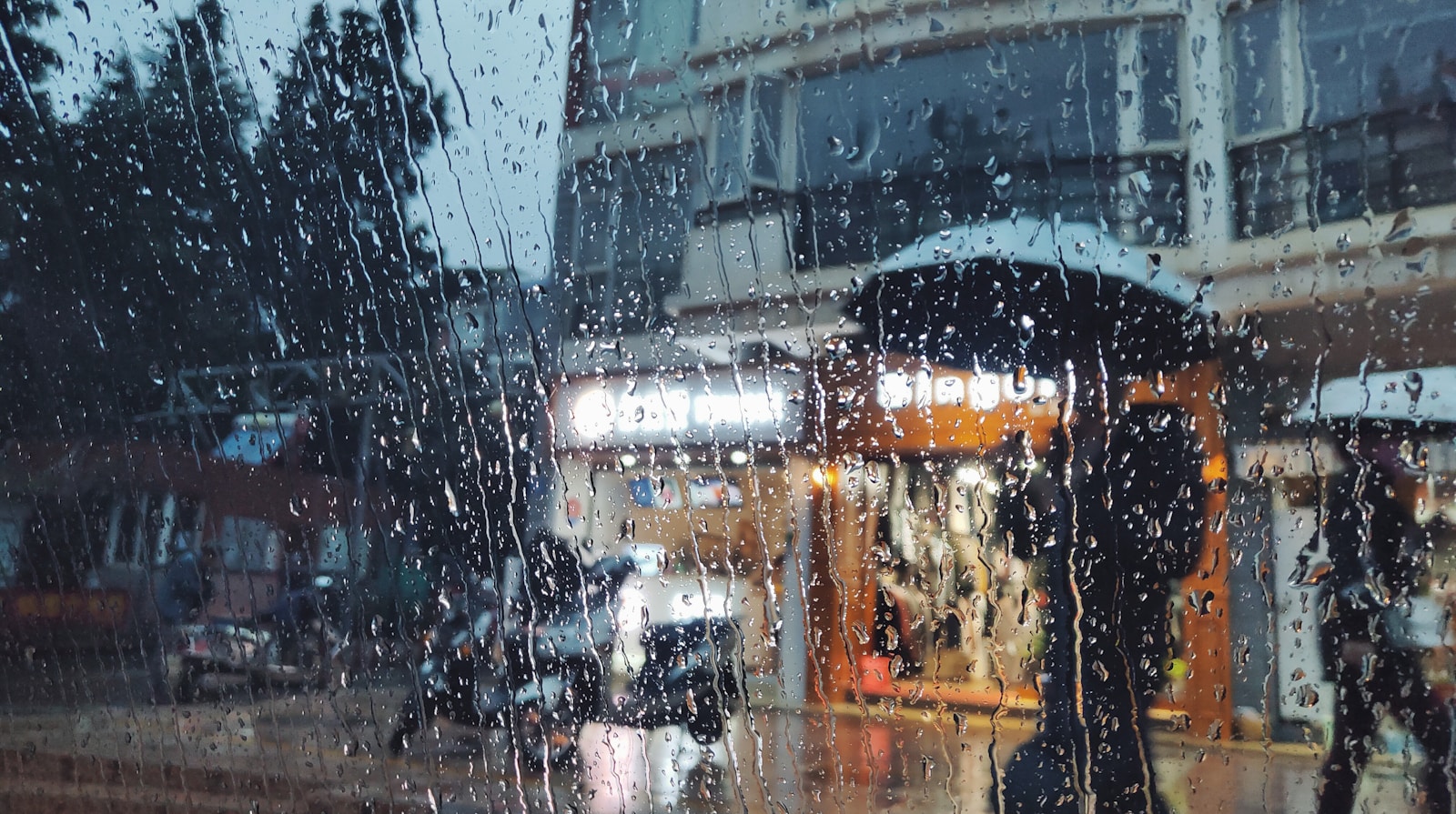 Les avantages insoupçonnés de la récupération de l’eau de pluie