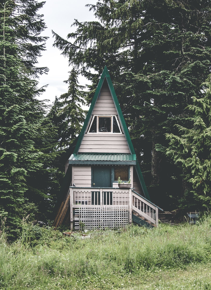 Faire de son chez-soi un havre de paix durable : conseils de mindfulness écologique